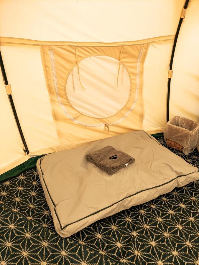 Immaculate Bell Tent Retreat North Devon Bideford Exterior foto
